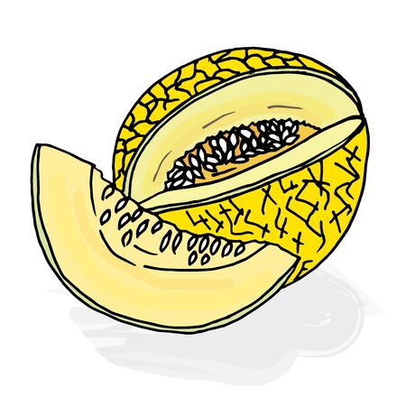 Doodle melon cut yellow painted outlineのイラスト素材