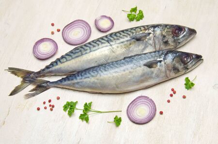 sea fish raw mackerel and onion and spices on a white table selective focusの写真素材