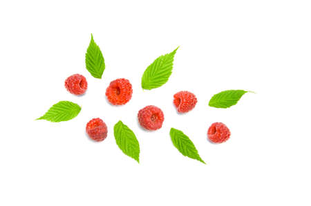 raspberry berries and leaves on a white background selective focusの写真素材