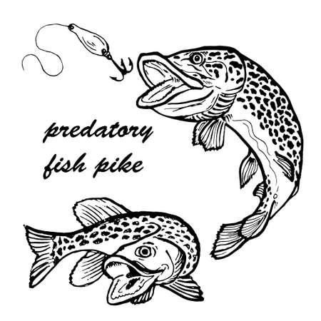 predatory pike fish with a spinner doodle withのイラスト素材