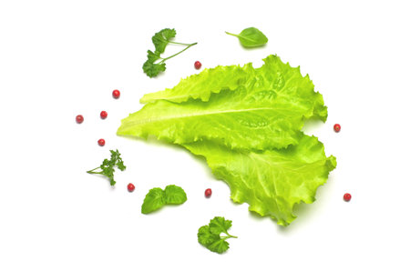 Lettuce leaves isolated on a white background. Top view.の写真素材