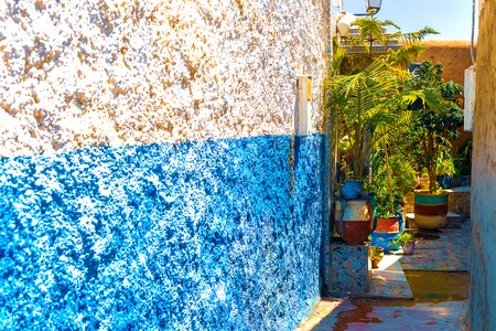 Blue and white traditional street with plants and palm trees in pots in Medina in Rabat, Morocco, Africaの写真素材