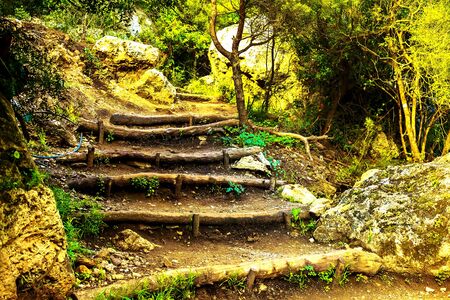 Sunset over a mountain landscape in Morocco. Path in a dense forest in the mountainsの写真素材