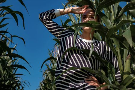 Portrait of a fair-haired girl in fashionable and stylish clothes, among the foliage of a corn field. On a sunny day.の写真素材