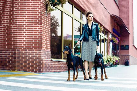 A girl walks along the street in the city along the building with two Dobermans on a leash. She and the dogs cross the road.の写真素材