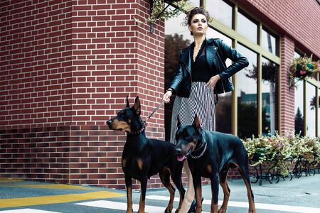 A girl walks along the street in the city along the building with two Dobermans on a leash. She and...