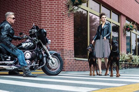 A girl walks along the street in the city along the building with two Dobermans on a leash