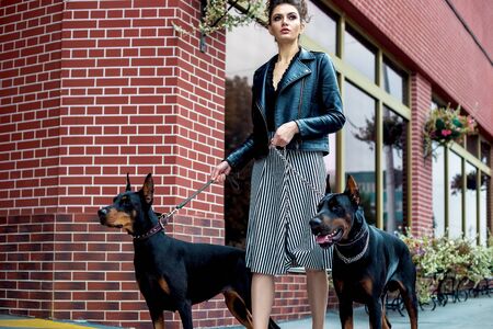 A girl walks along the street in the city along the building with two Dobermans on a leash. She and the dogs cross the road.の写真素材