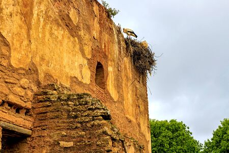 Ruins of the Roman city known as Sala Colonia and the Islamic complex of Chellah, mosque and minaret...