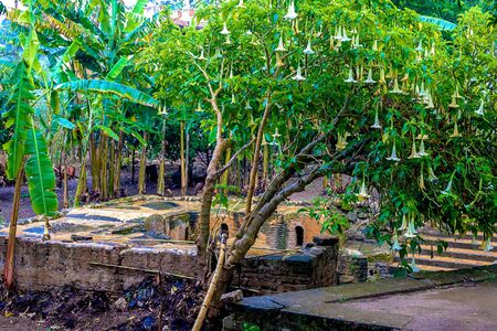 Ruins of the Roman city known as Sala Colonia and the Islamic complex of Chellah, mosque and minaret...