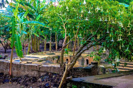 Ruins of the Roman city known as Sala Colonia and the Islamic complex of Chellah, mosque and minaret...