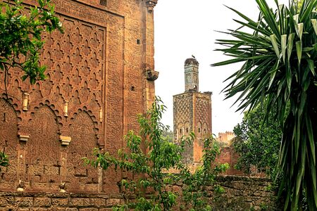 Ruins of the Roman city known as Sala Colonia and the Islamic complex of Chellah, mosque and minaret ruined. Chellah is the necropolis of Rabat. Morocco.の写真素材