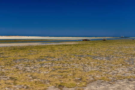 View of boats in the bay at low tide on the beach in the Mediterranean Sea on the island of Djerba, Tunisiaの写真素材