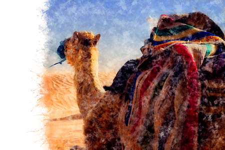 Watercolor drawing. Dromedary Camel sits on the sand in the Sahara Desert, resting.の写真素材