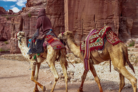 Tourists riding camels ride along the Siq Canyon and explore the attractions of the city of Petra, Jordanの写真素材