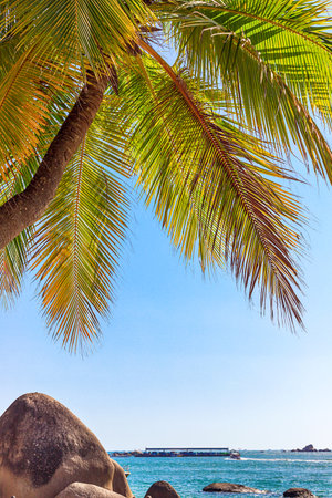 View of large stones, boulders and palm trees on the shore of the South China Sea. Sanya, China.の写真素材