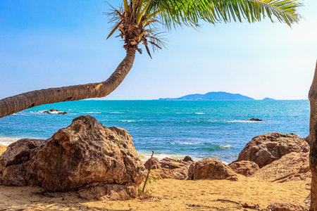 View of the shore of the South China Sea with a sandy beach, large rocks and green palm. Sanya Chinaの写真素材