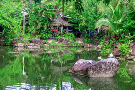 A quiet pond in Yanoda Park, surrounded by lush tropical greenery. China, Hainan.の写真素材
