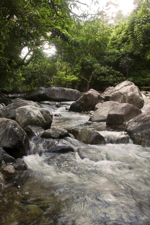 In the fall of the stream.の写真素材