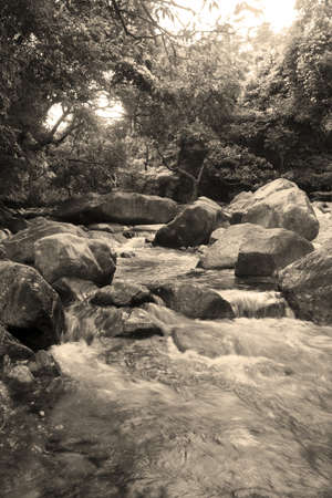 In the fall of the stream, with yellow tone.の写真素材