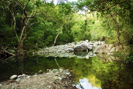 Lake in Shing Mun Reservoir, Hong Kong.の写真素材
