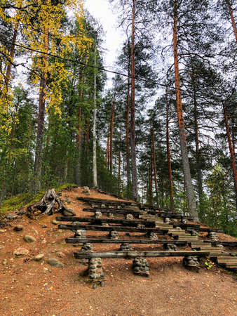 Wooden stairs and benches on the sand mound in the middle of forestの写真素材
