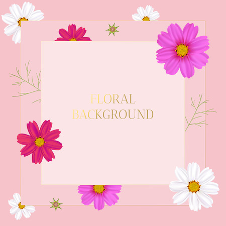 Flowers Cosmos. Floral background. Frame. Border. Vector illustration.のイラスト素材