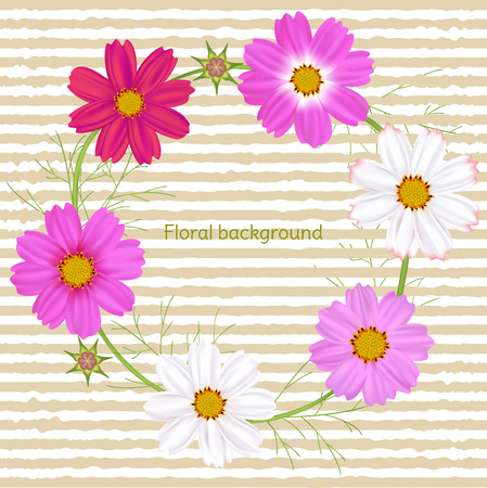 Flowers. Cosmos. Floral background. Frame. Border. Vector illustration.のイラスト素材