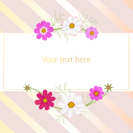 Flowers. Cosmos. Floral background. Frame. Border. Vector illustration.のイラスト素材