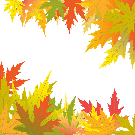 Color maple leaves. Autumnal vector background. Frame. Border. Plant illustration.のイラスト素材