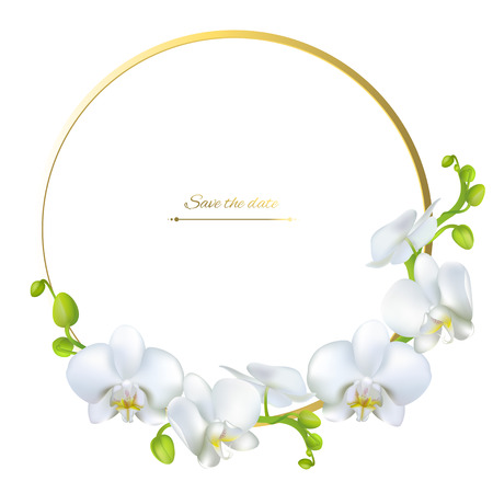 White orchids. Tropical flowers. Exotic plants. Floral background. Card. Frame. Border. Template.のイラスト素材