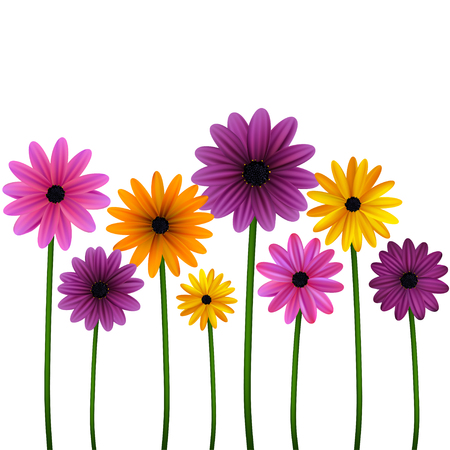 Daisies Floral background Vector illustration.のイラスト素材