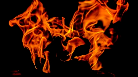 Fire on a black background の写真素材