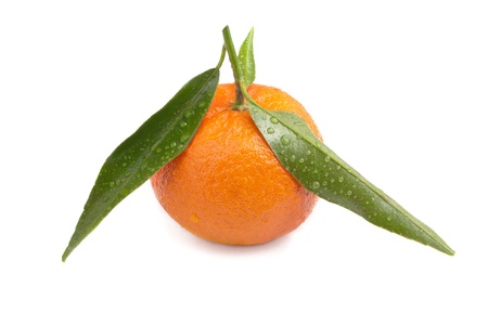 Tangerines with green leavesの写真素材