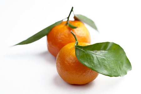 Tangerines with green leavesの写真素材