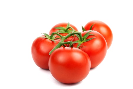 branch with red and fresh tomatoes on a white backgroundの写真素材