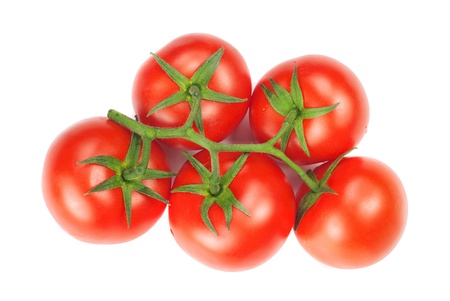 branch with red and fresh tomatoes isolated on whiteの写真素材