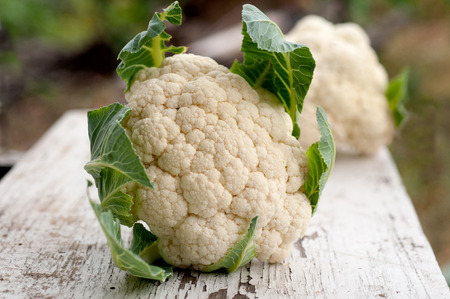 Organic cauliflower on white wooden backgroundの写真素材