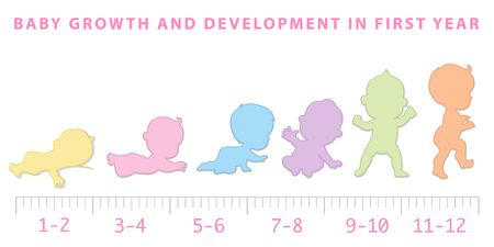 Baby growth from newborn to toddler scale.のイラスト素材