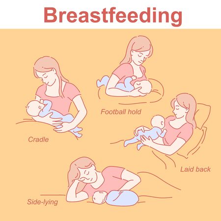 Breastfeeding positions set. Mother and baby together. Infographic for feeding start.のイラスト素材