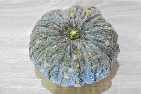 One bright green pumpkin to eat.の写真素材