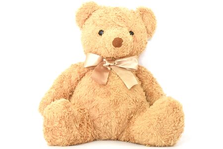 Teddy bears on a white backgroundの写真素材