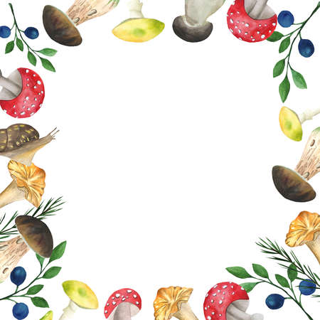 mushroom watercolor postcard on a white background.の写真素材