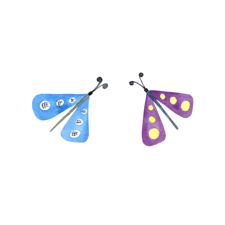 Watercolor moths on a white background. Isolates. Raster illustration works. It can be used on patterns, postcards, calendarsの写真素材