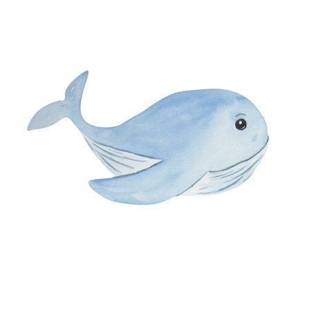 Watercolor composition of blue whales on a white background. self made. Can be used on postcards, napkins, logos, t-shirts.の写真素材