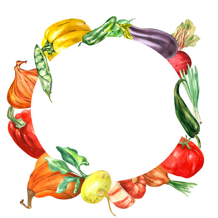 Frame with vegetables on a white background. Watercolor. Handmade. Can be used on packaging, in compositions, stickers.の写真素材