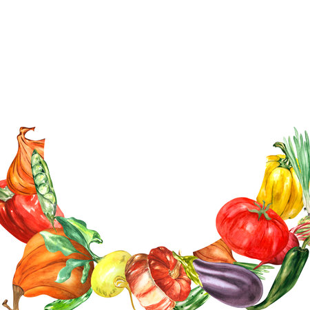 Frame with vegetables on a white background. Watercolor. Handmade. Can be used on packaging, in compositions, stickers.の写真素材