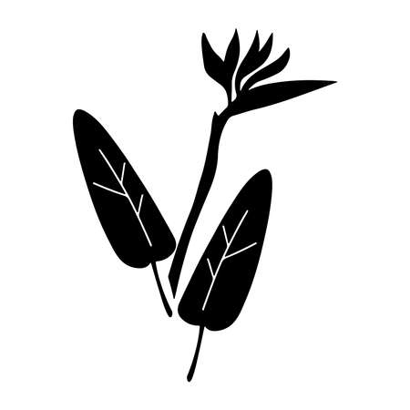 Hand drawn black silhouette of strelitzia flower with leaves isolated on white background. Vector flat illustration. Design for card, wedding, pattern, invitationのイラスト素材