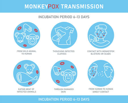 Monkeypox virus transmission infographics with icons isolated on white background. Vector flat...