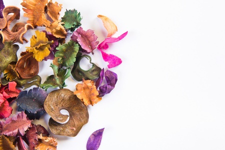 Many kinds of dried flowers in white.の写真素材